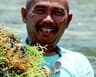 Ryan Villomo sea moss industry expert and wholesale supplier