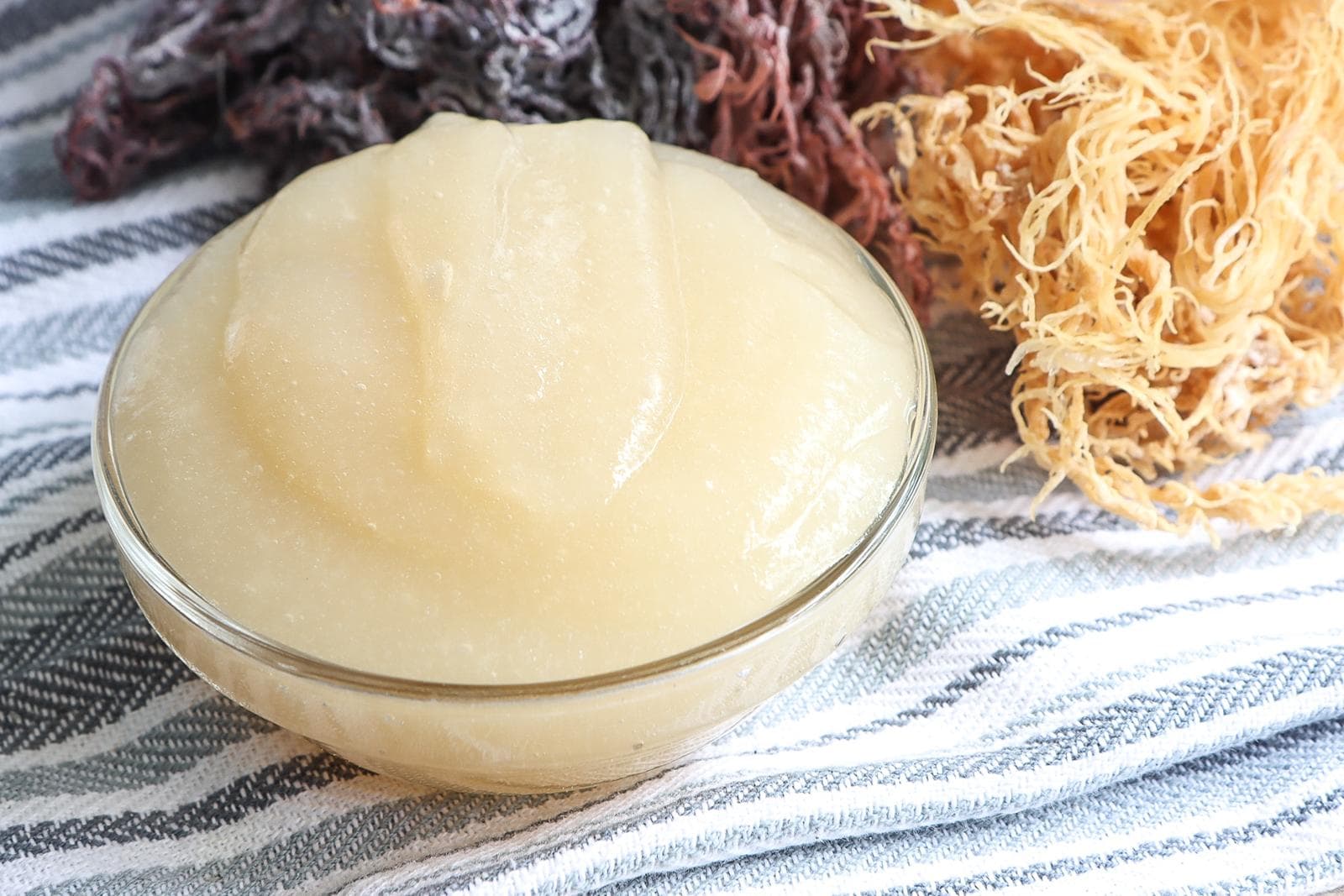Handmade fresh sea moss gel high profit margin local business product