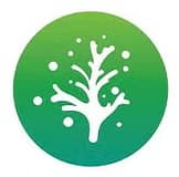 Premium Sea Moss Wholesale Supplier