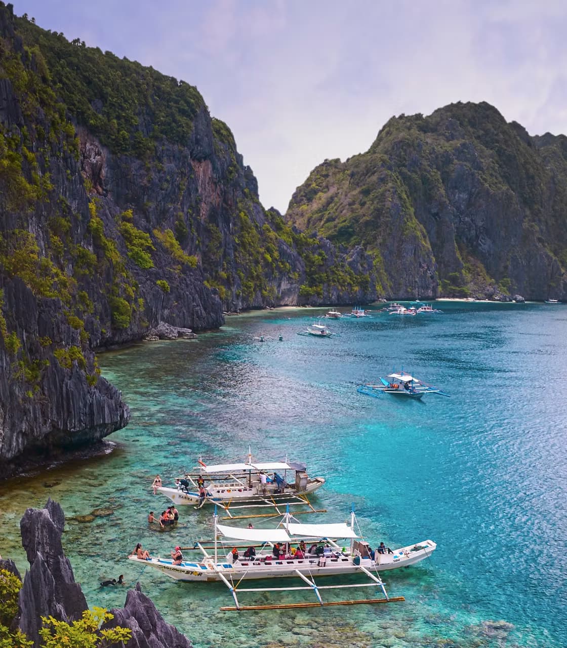 Wildcrafted Sea Moss Wholesale Harvesting Location