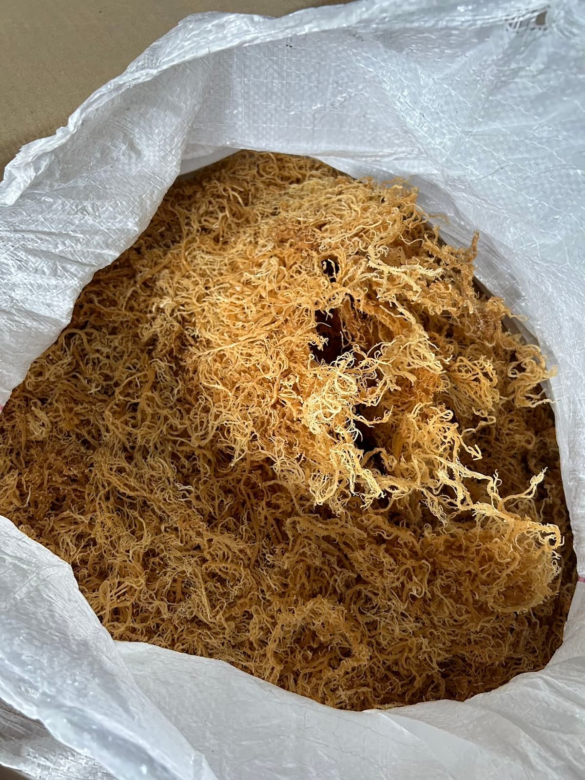 Premium bulk sea moss for sale Premium Bulk Sea Moss For Sale